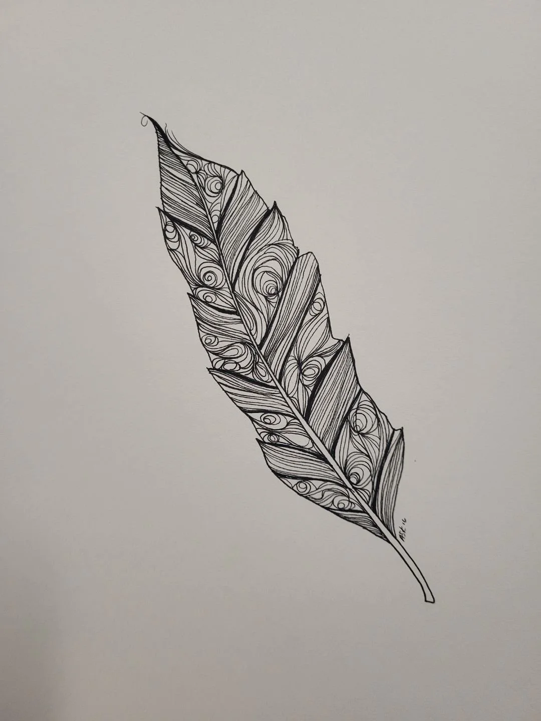 Custom feather illustration by Andrea King