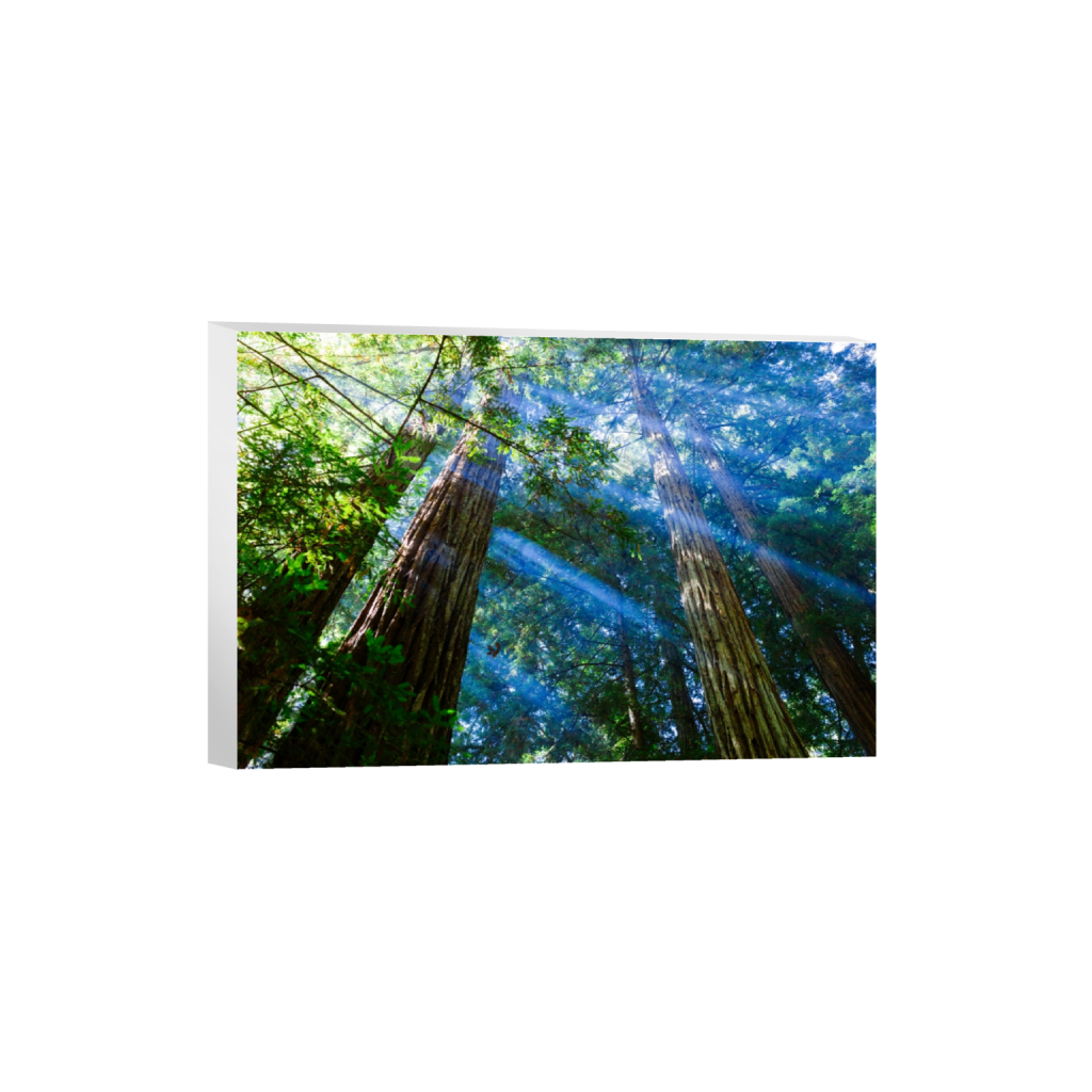 canvas_rectangle2_3_5_0_5202_3468_0.png