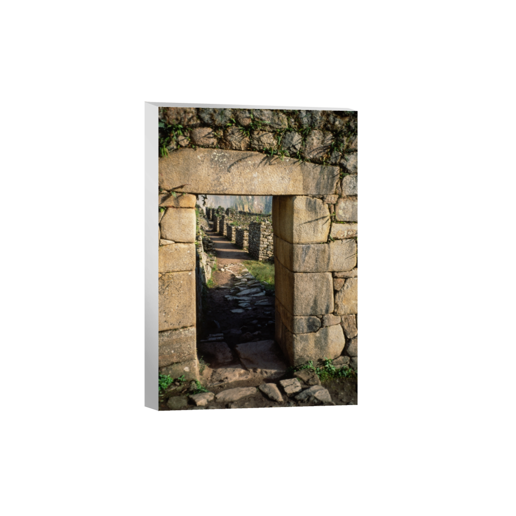 canvas_rectangle2_3_0_0_3774_5662_0.png
