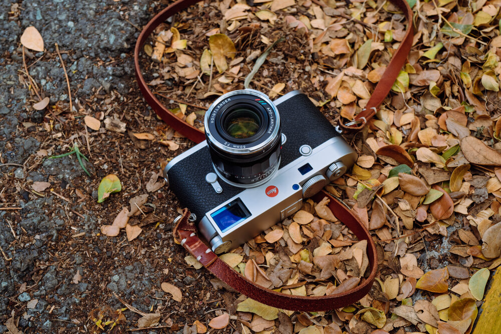 Review: Voigtlander 50mm f/2 APO-Lanthar VM for Leica M mount — Jack  Takahashi