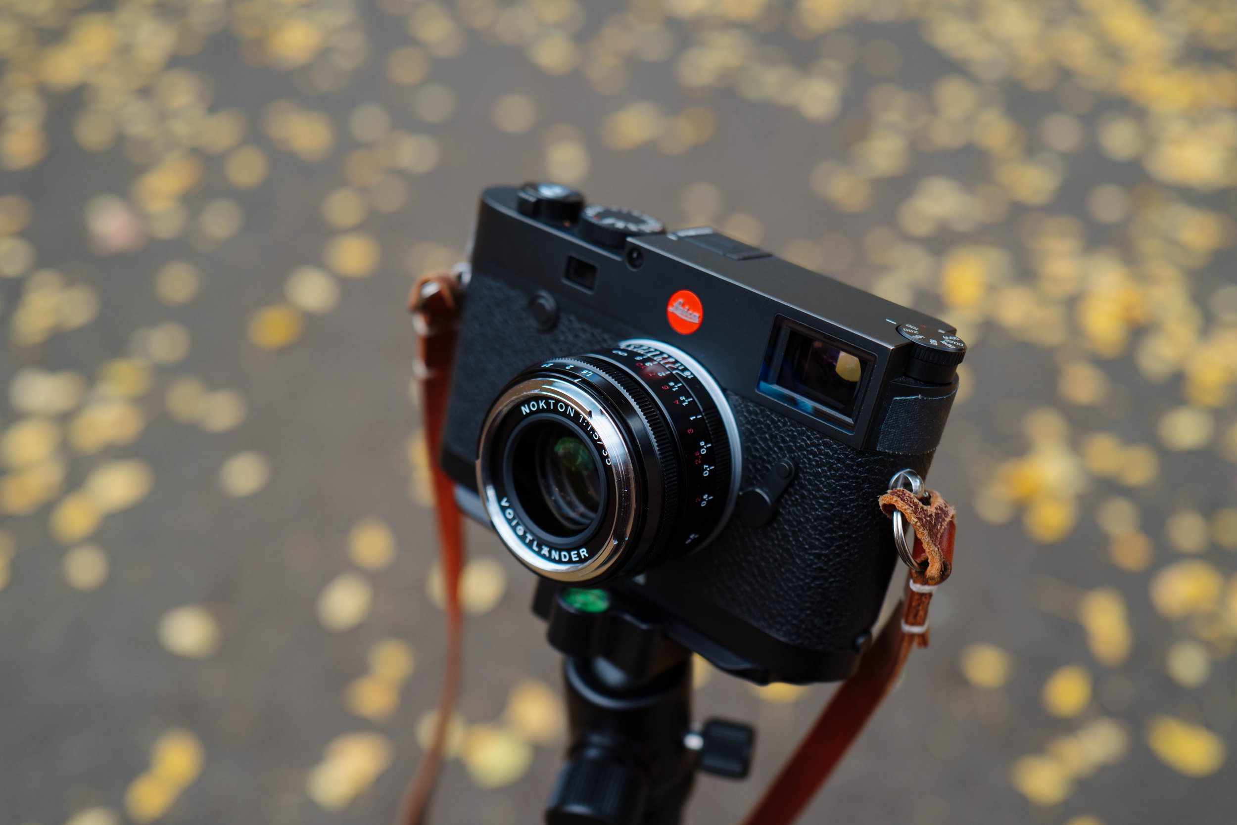 Review: Voigtlander 35mm f/1.5 Nokton — Jack Takahashi Review: Voigtlander 35mm f/1.5 Nokton — Jack Takahashi