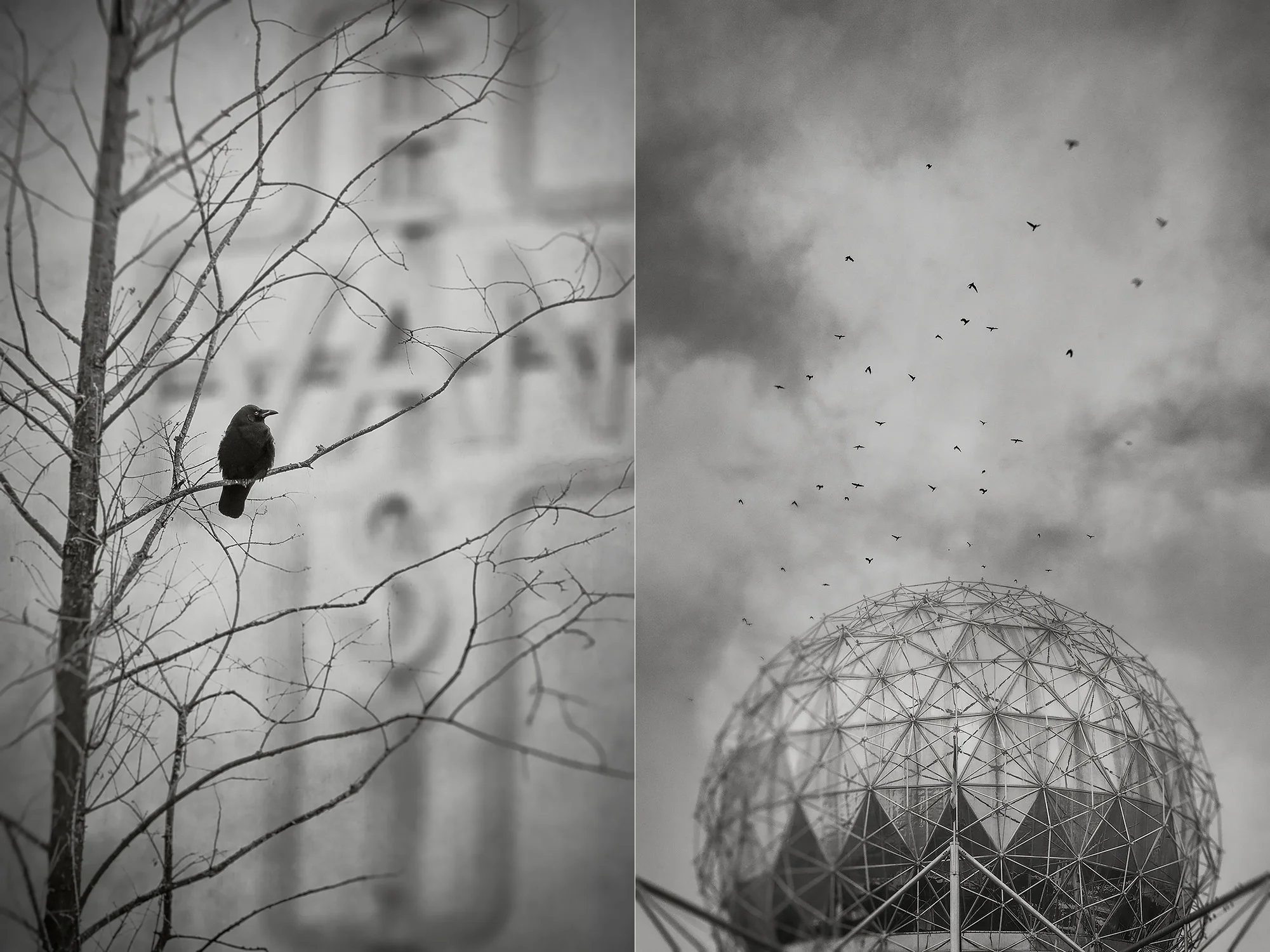 East Van (l) and Science World (r)
