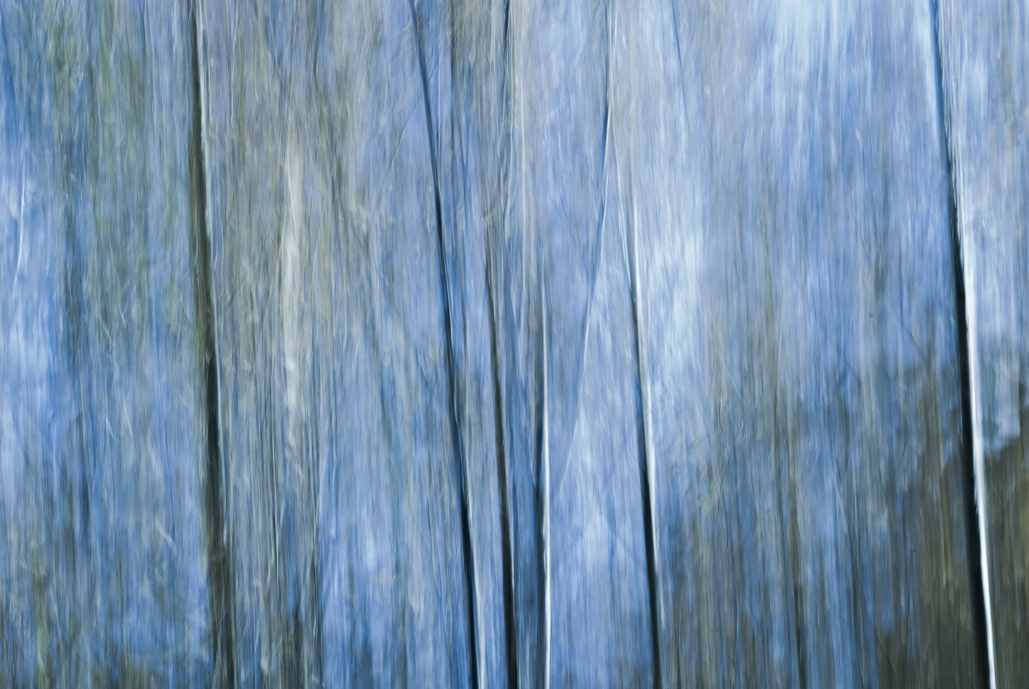 Silver i