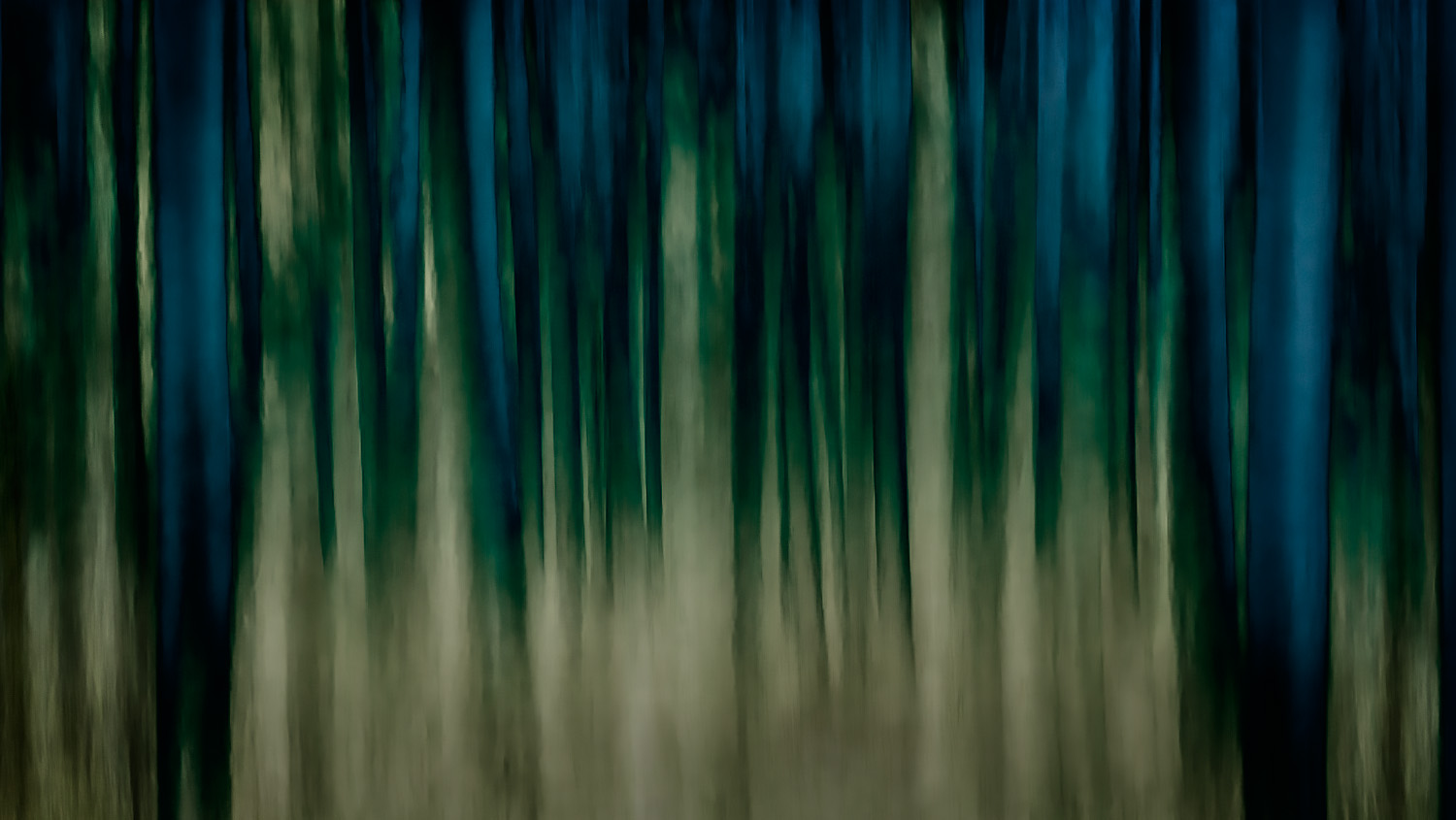 Nebulous Grove