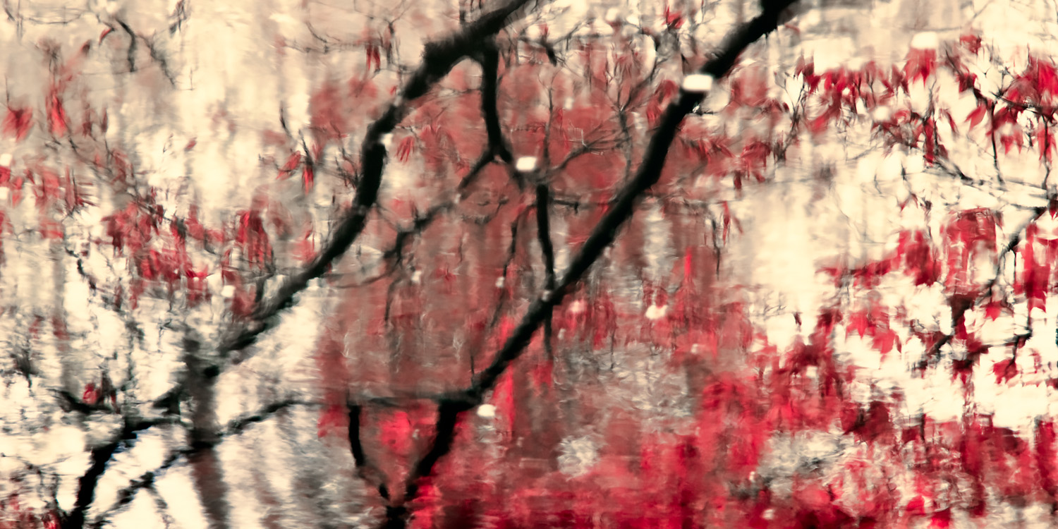 Red Zen Reflection