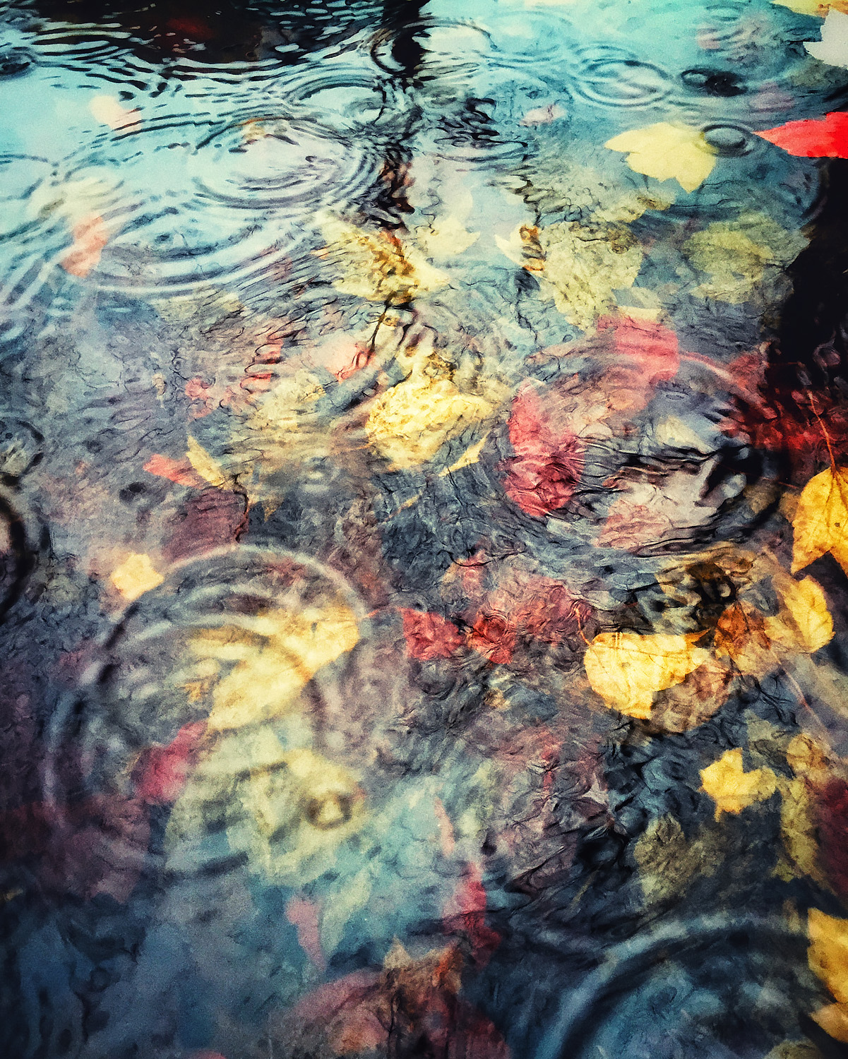 Rain Day Blues ii