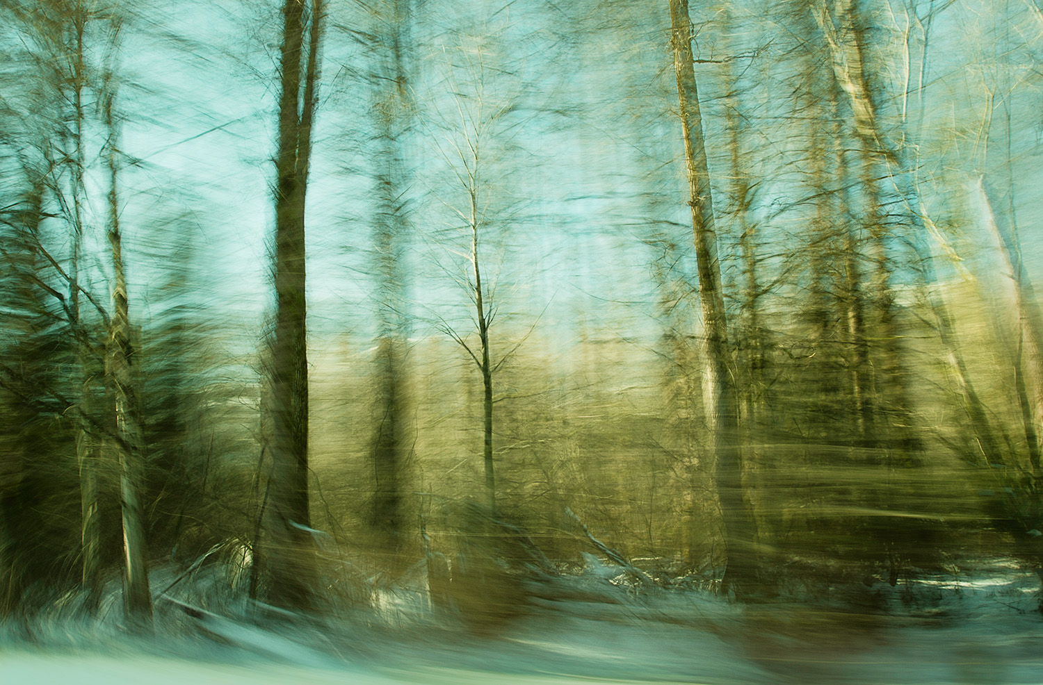 Moved By Trees ii