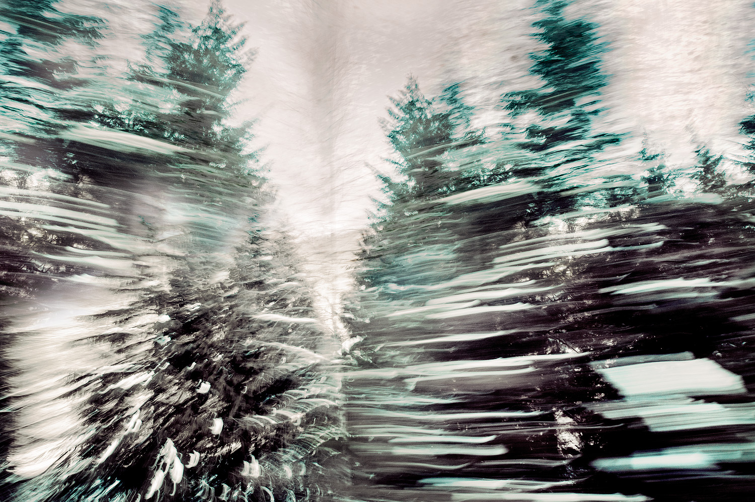Moving Trees V