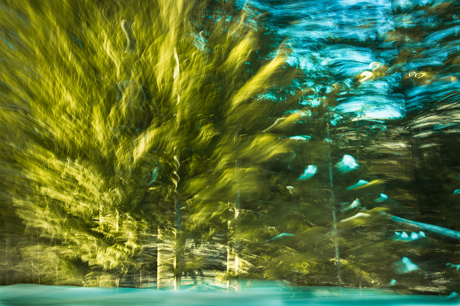 Moving Trees i
