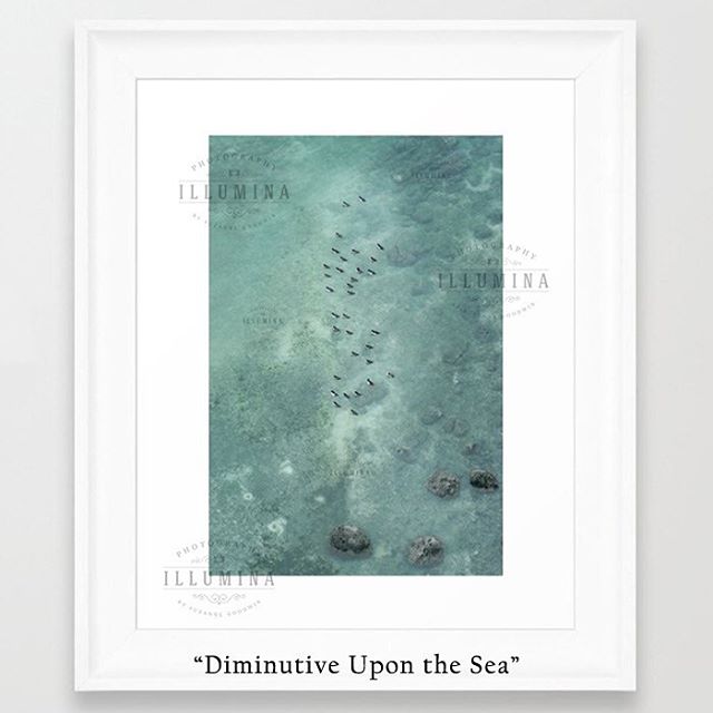 New work! &ldquo;Diminutive Upon the Sea&rdquo;
An overhead view of overwintering Goldeneye Ducks bobbing in the shallows of Burrard Inlet off the Stanley Park seawall.
Available now through @society6 and @displate Links in bio!
.
.
#vancouverphotogr