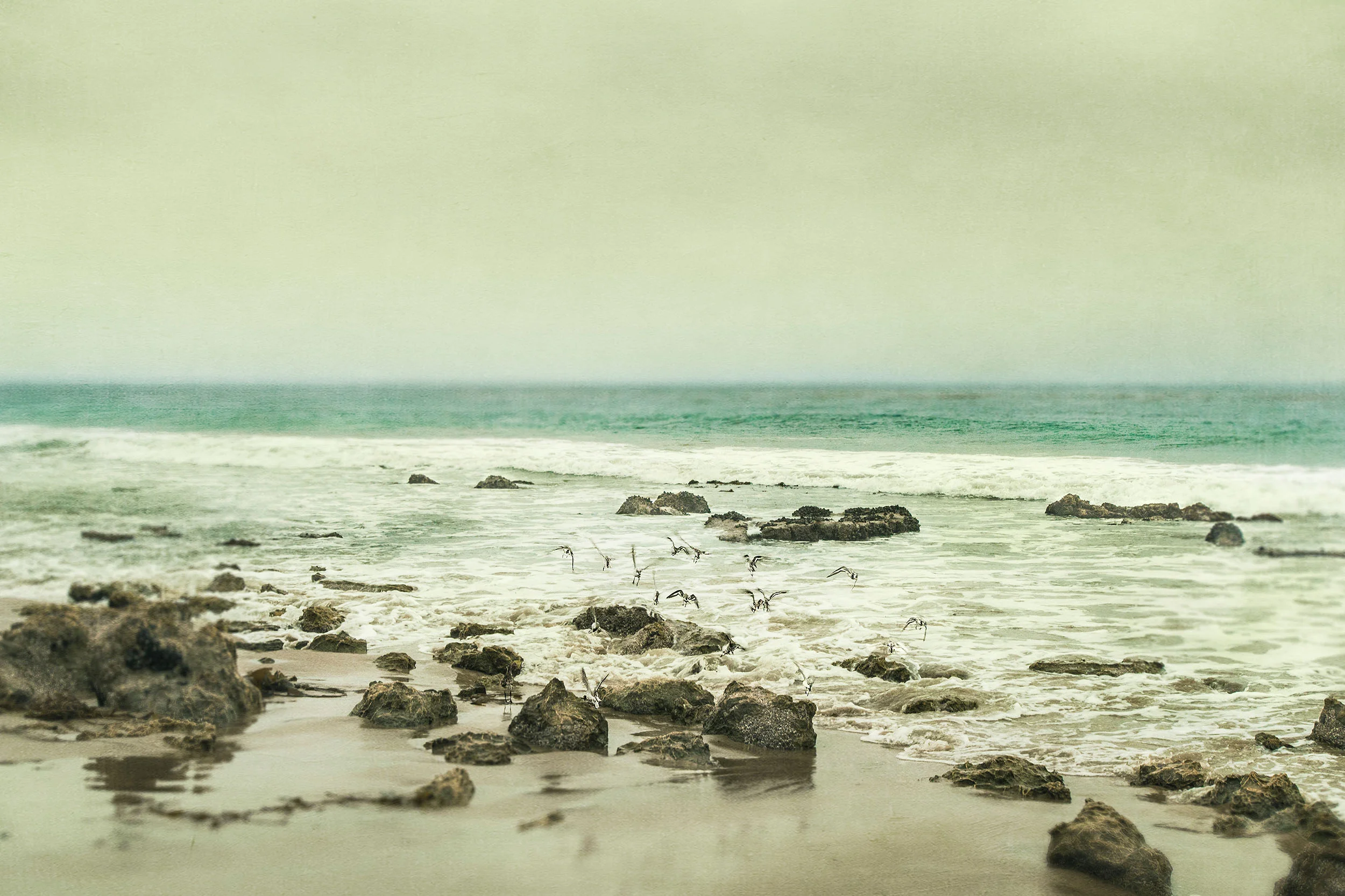 Release 130417-1312 Crystal Cove