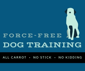 Force-Free Dog Training and the Animal Rights Movement — Upward Hound