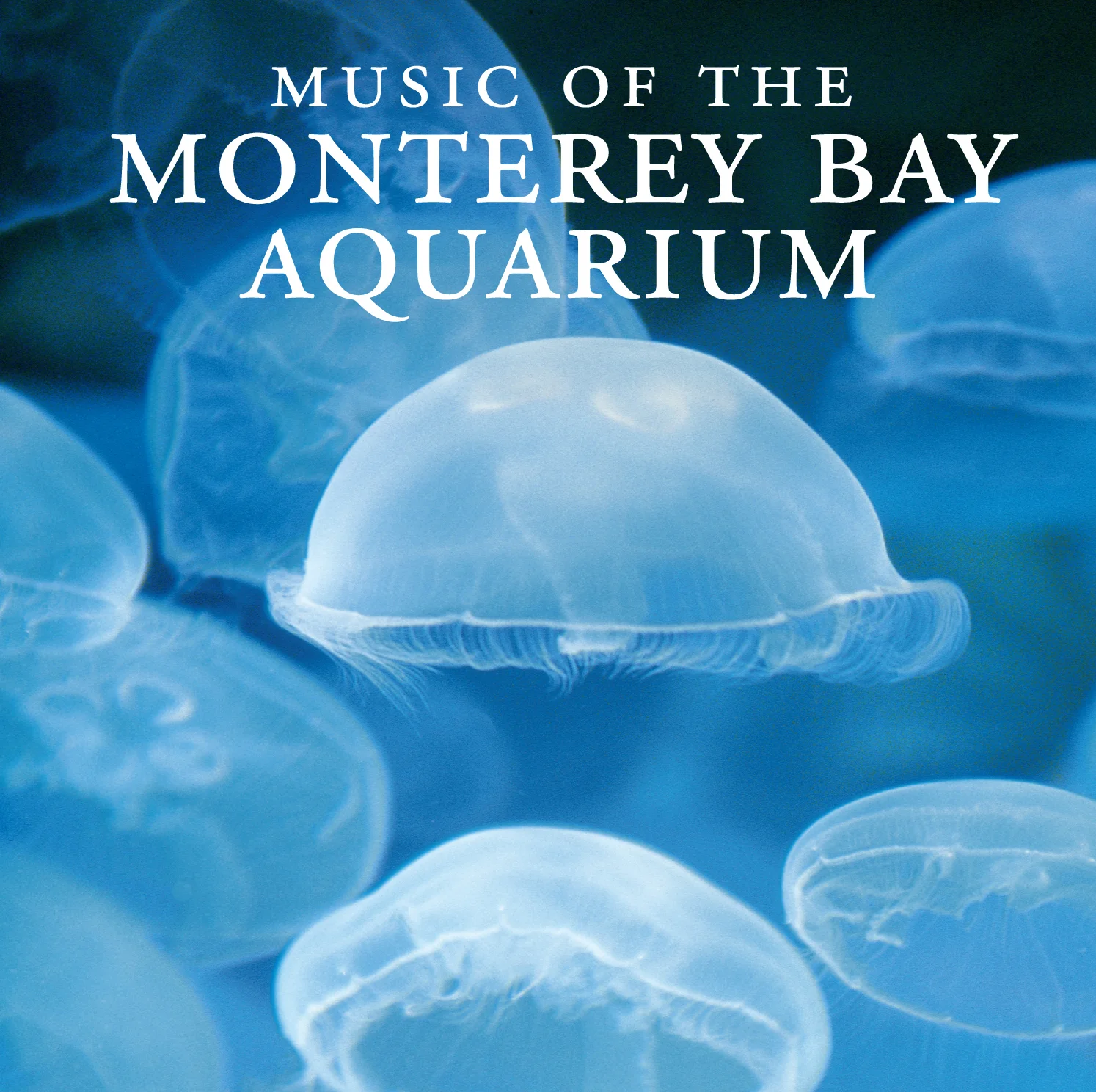 Music of the Monterey Bay Aquarium download