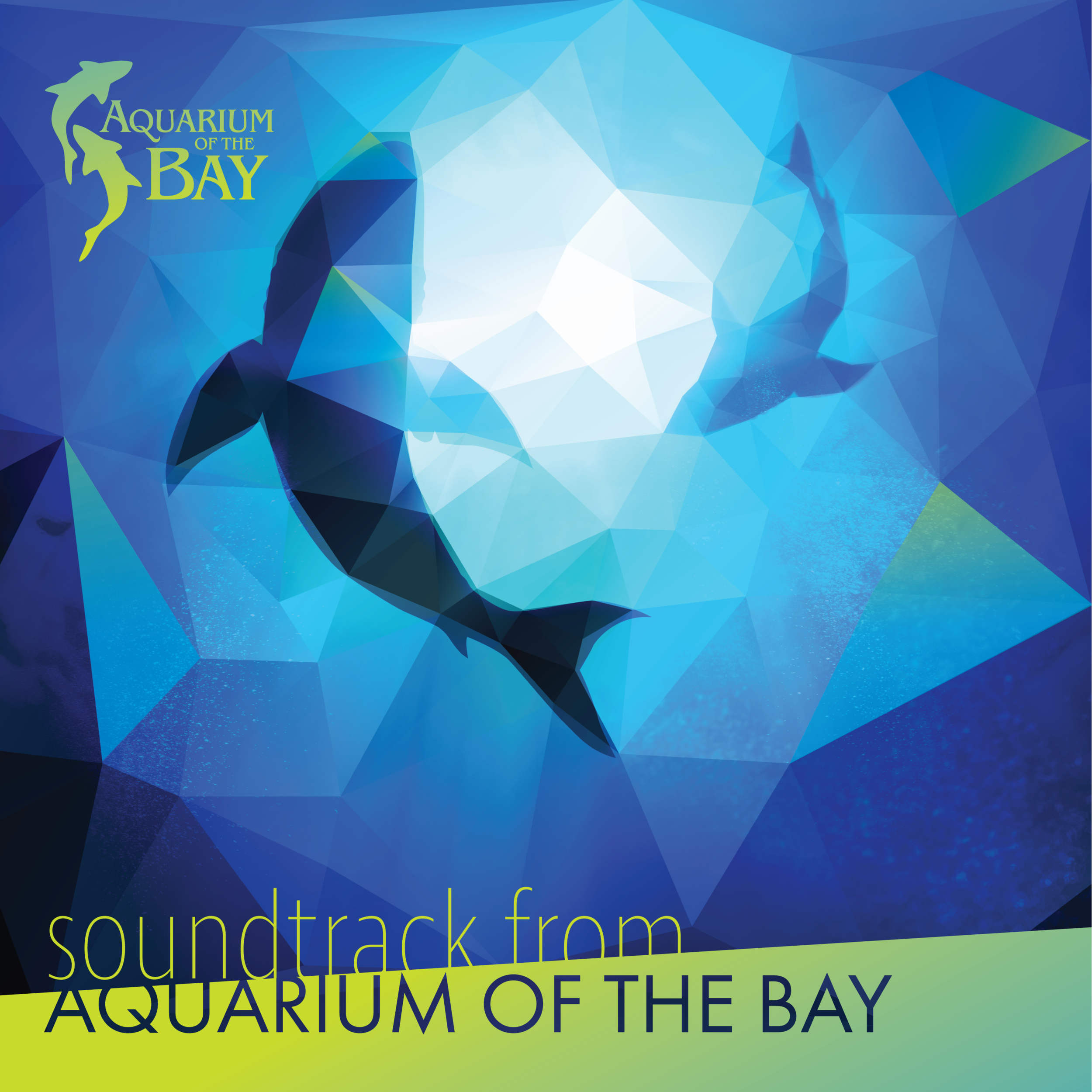 Aquarium of the Bay download