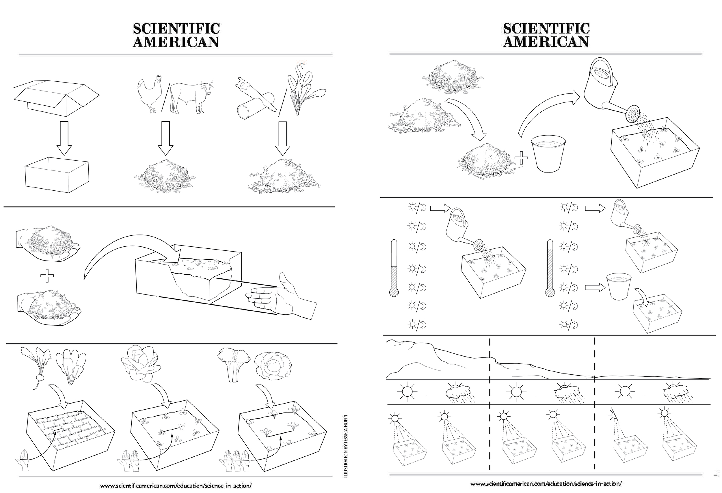 Infographic illustration for the winner of the Scientific American Science in Action Award