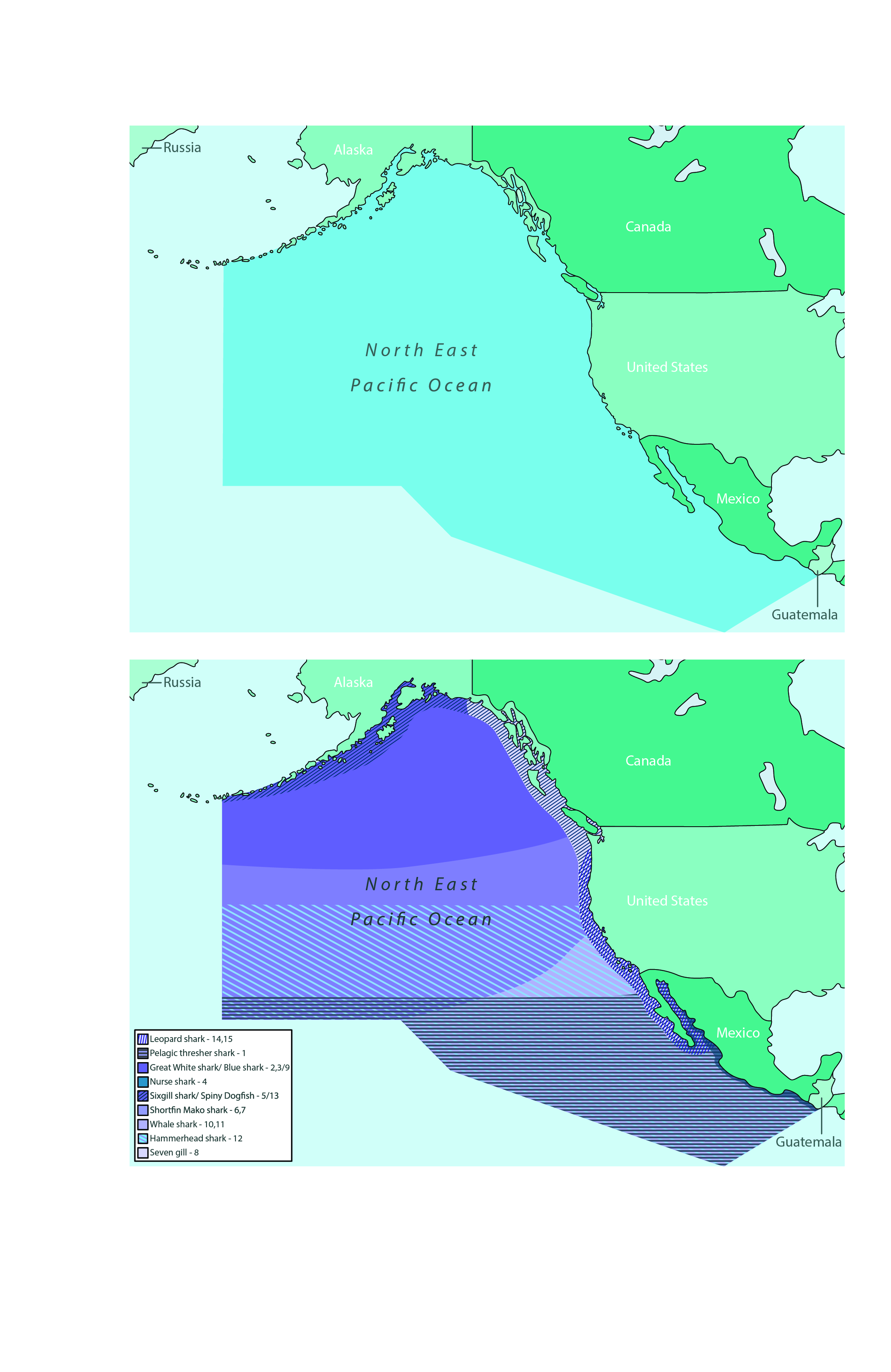 North East Pacific Ocean shark territory maps