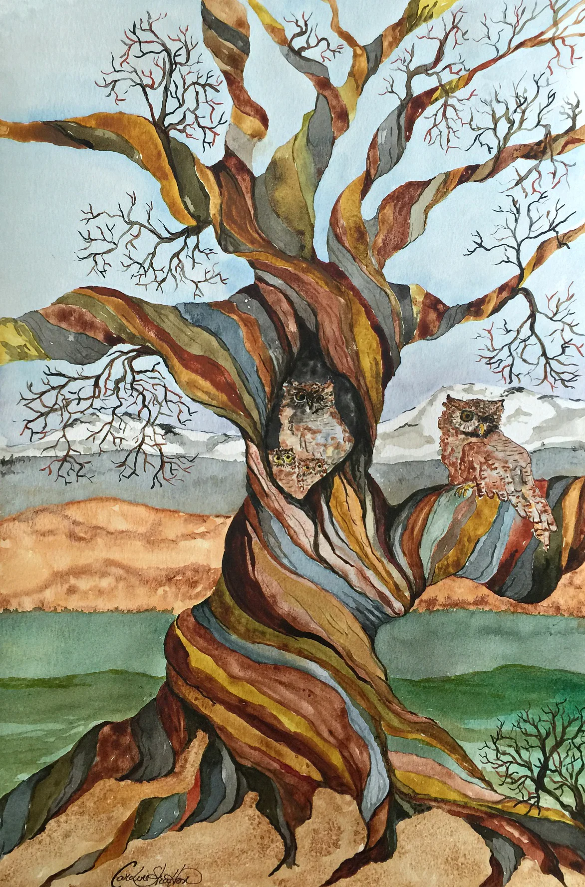 Tree2.jpg
