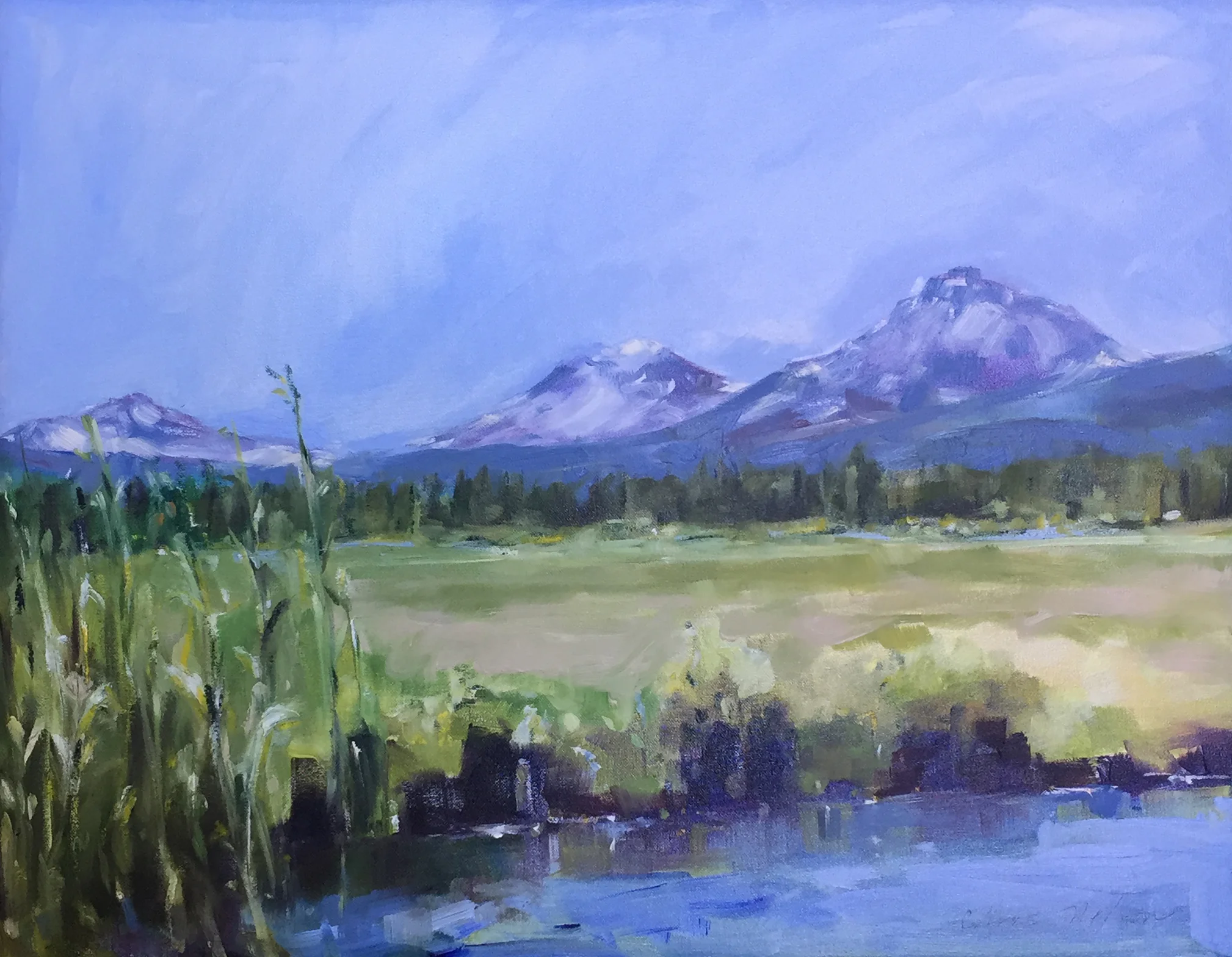 Chris Nelson Oil Painting
