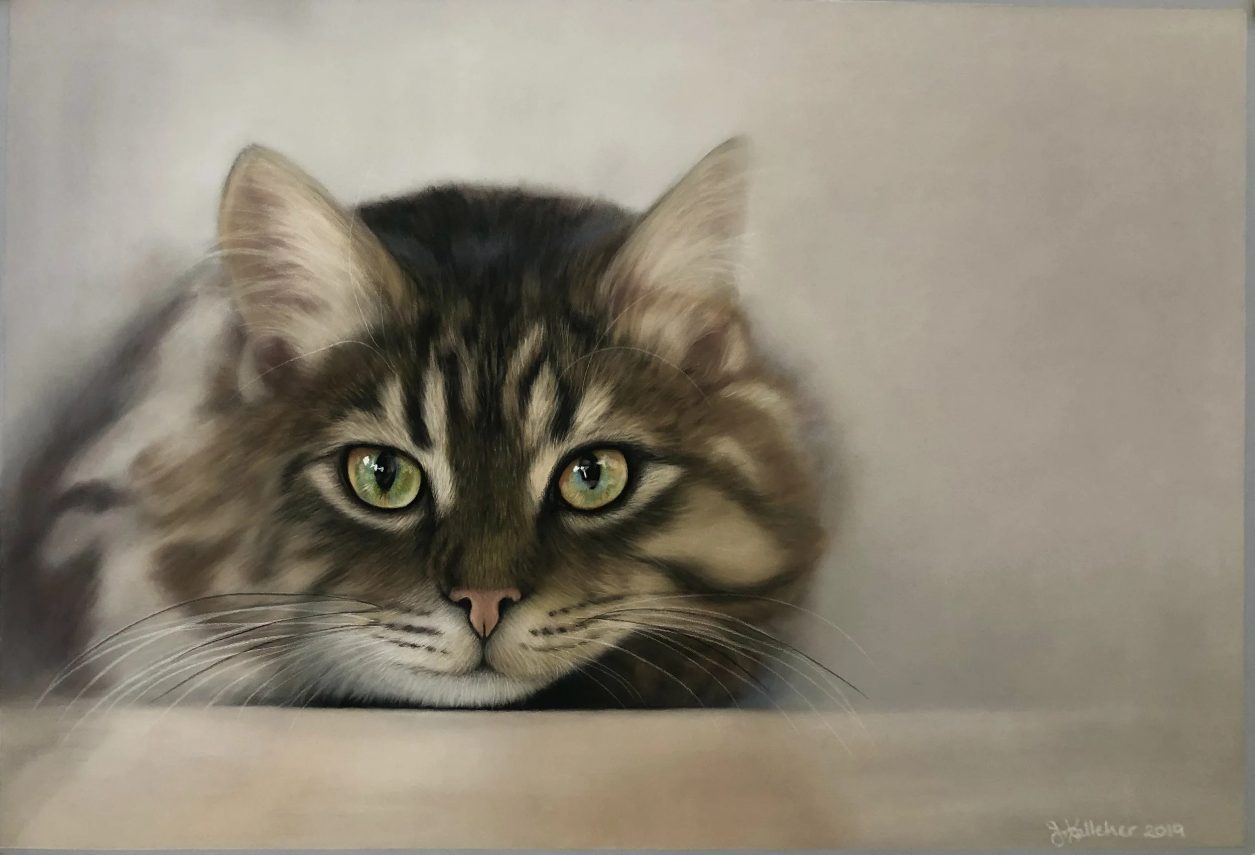 Cat from Jeni.jpg