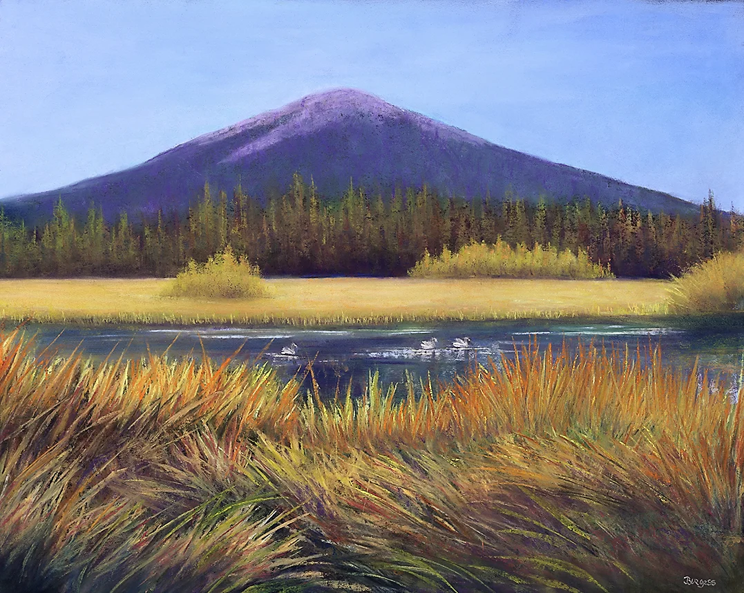 Black Butte Magic JoAnn Burgess email.jpg