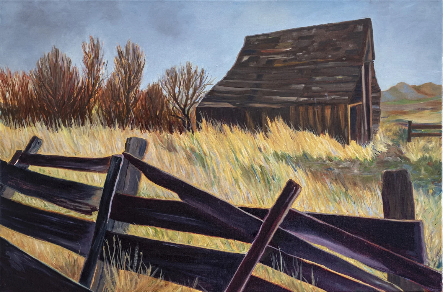 Paisley FenceStill Standing.jpg