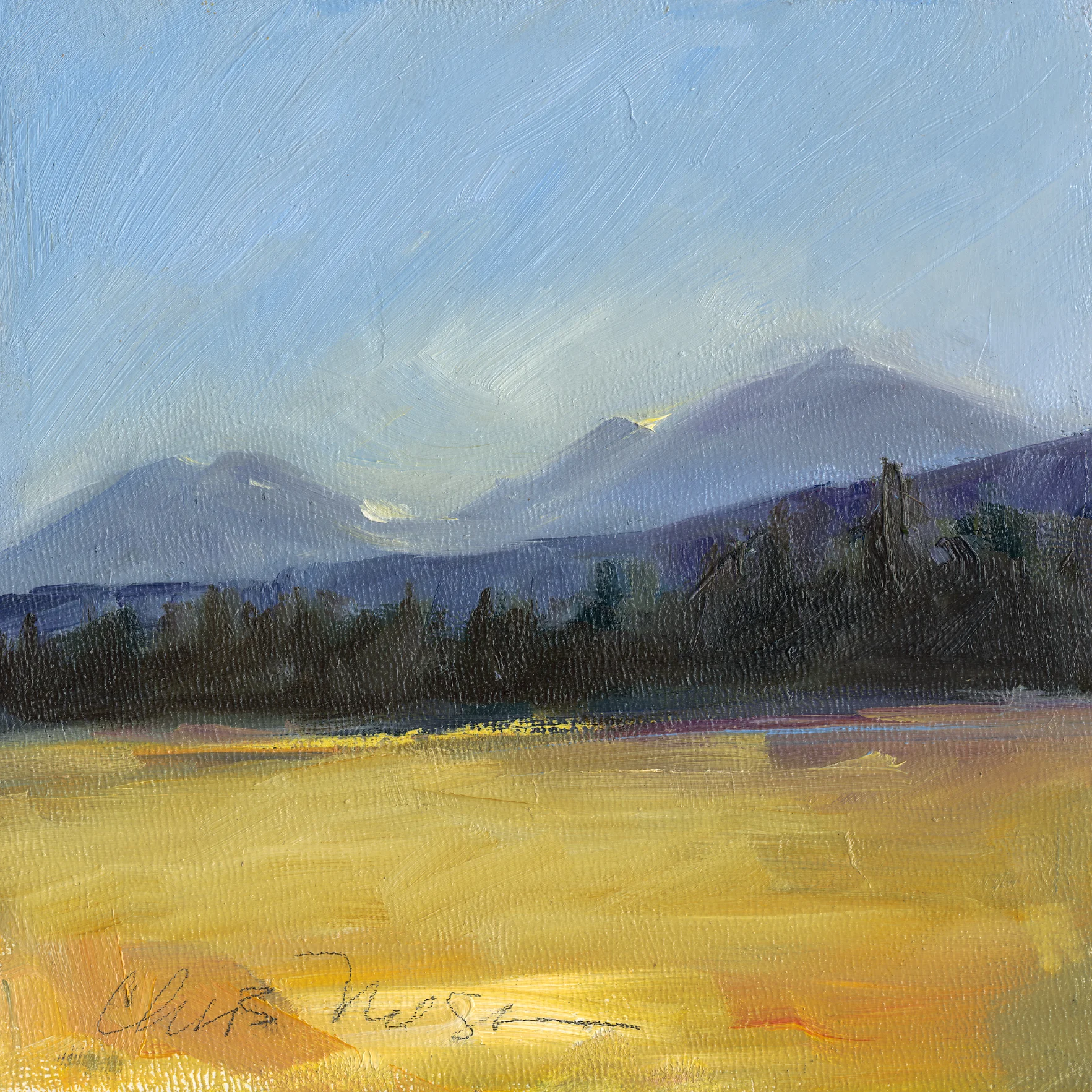 Chris Nelson Oil Painting