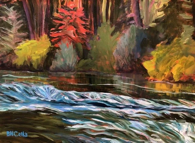 Metolius Magic website.jpeg