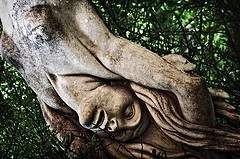Inhabiting your Wildness