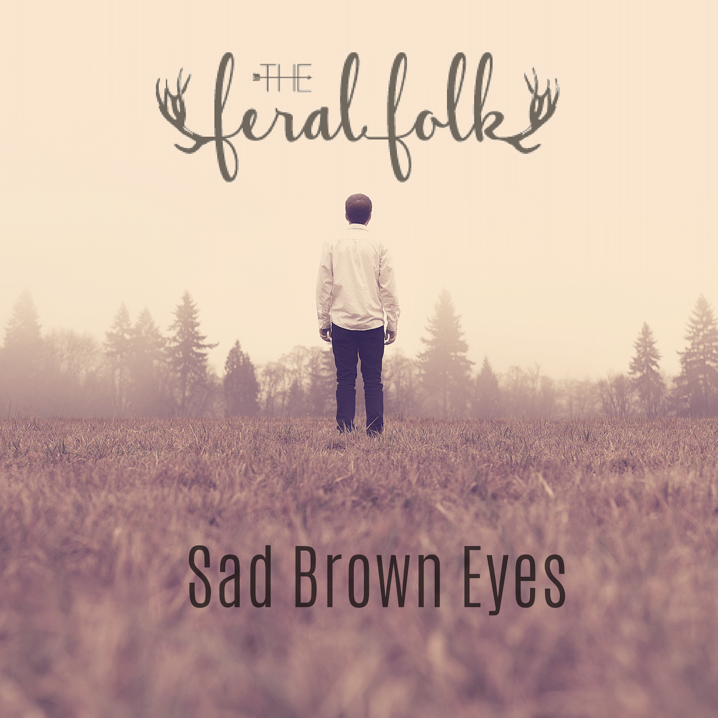 Sad Brown Eyes
