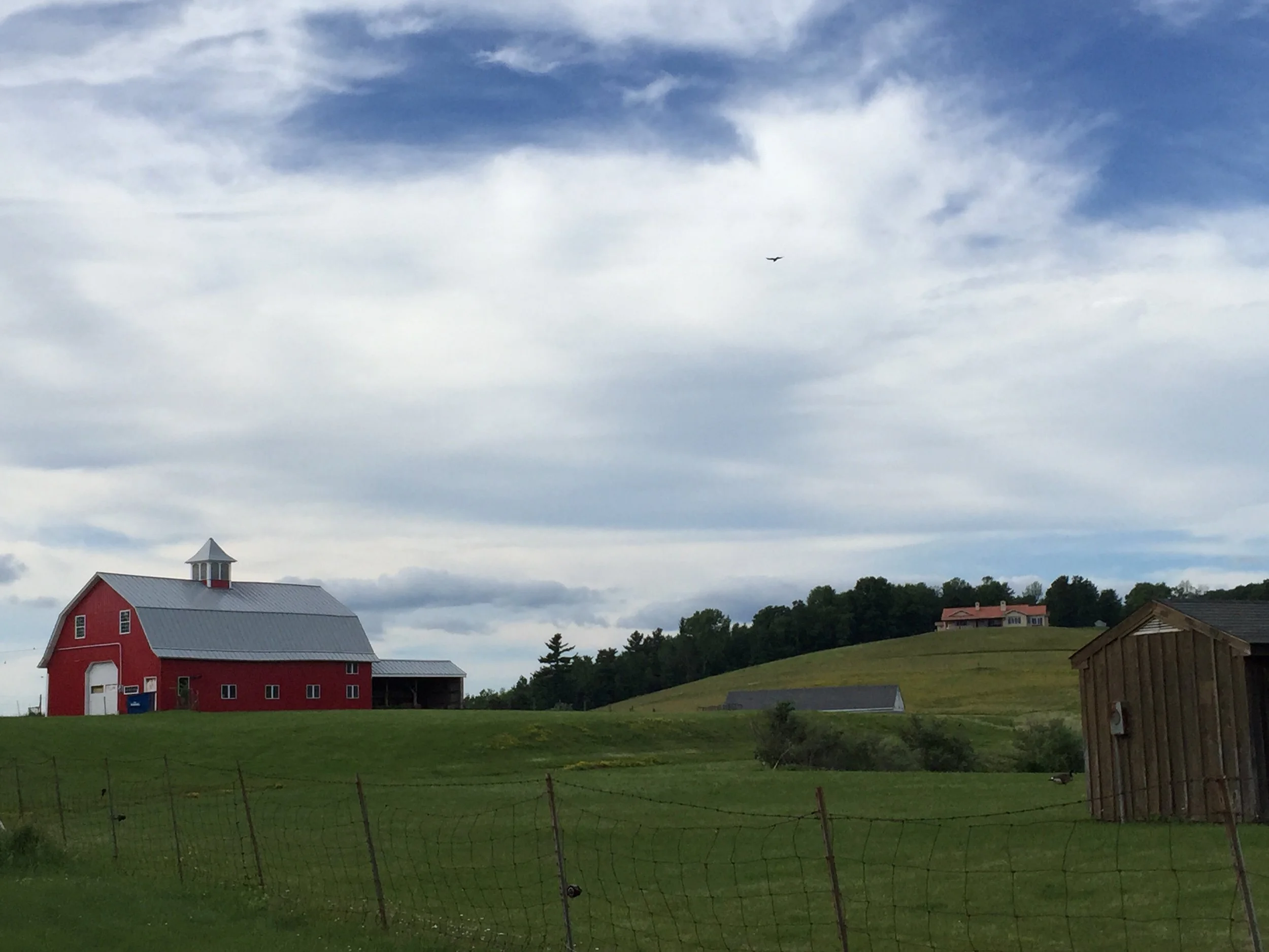 First night camping!