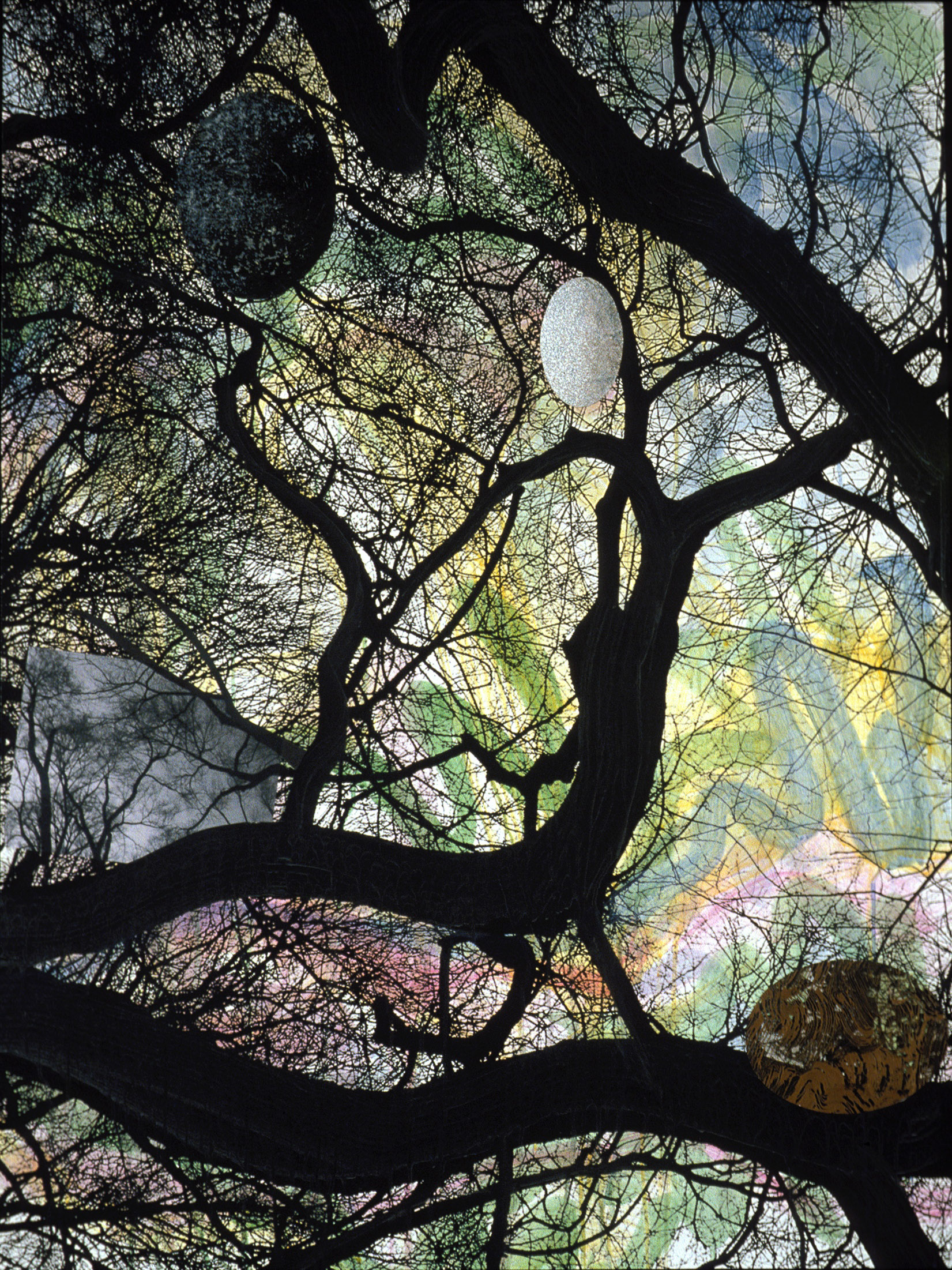 Central Park Trees , 2006, 48 x 36 x 2"