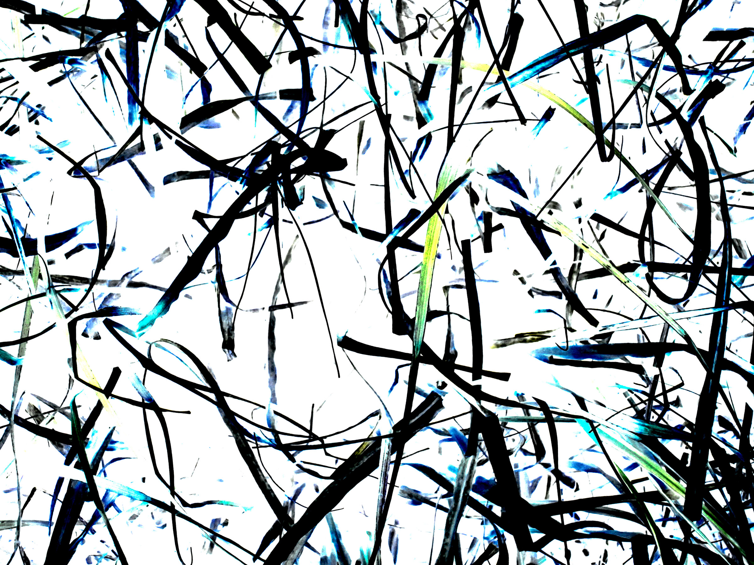 Recurrent Memories no. 3 27” x 36” digital fine art print (edition of 3) 2012