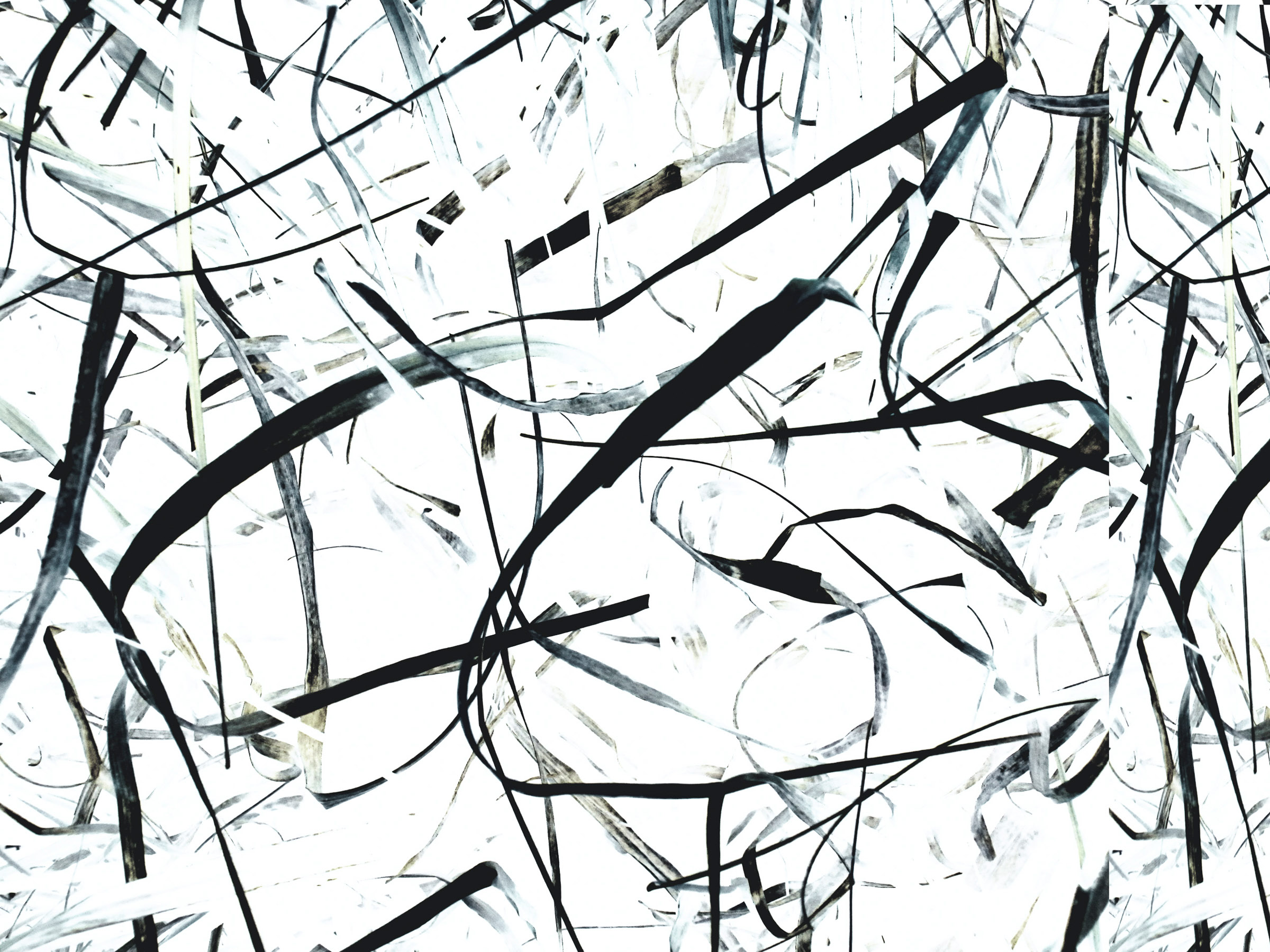 Recurrent Memories no. 4 27” x 36” digital fine art print (edition of 3) 2115