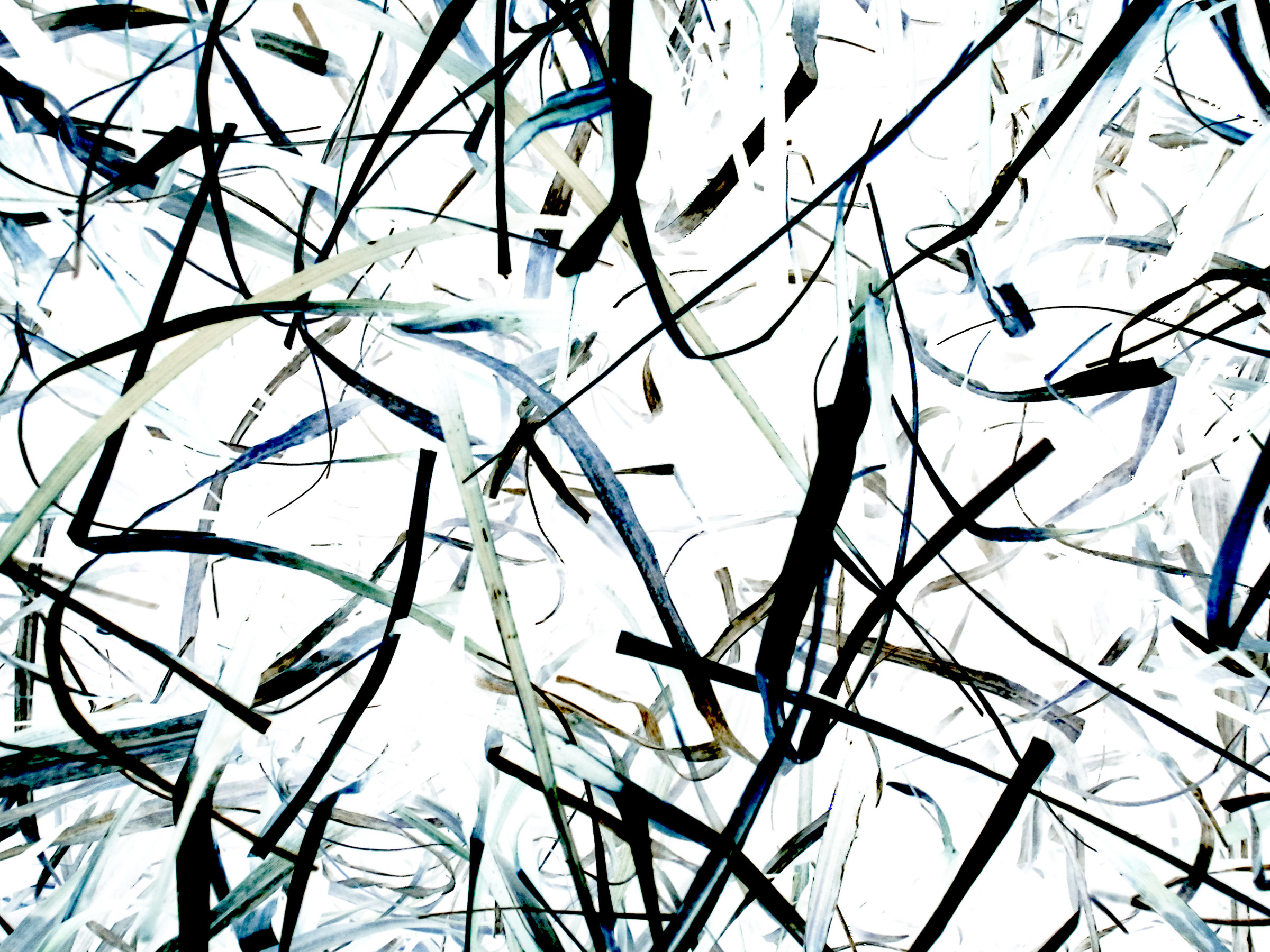 Recurrent Memories no. 6 27” x 36” digital fine art print (edition of 3) 2015