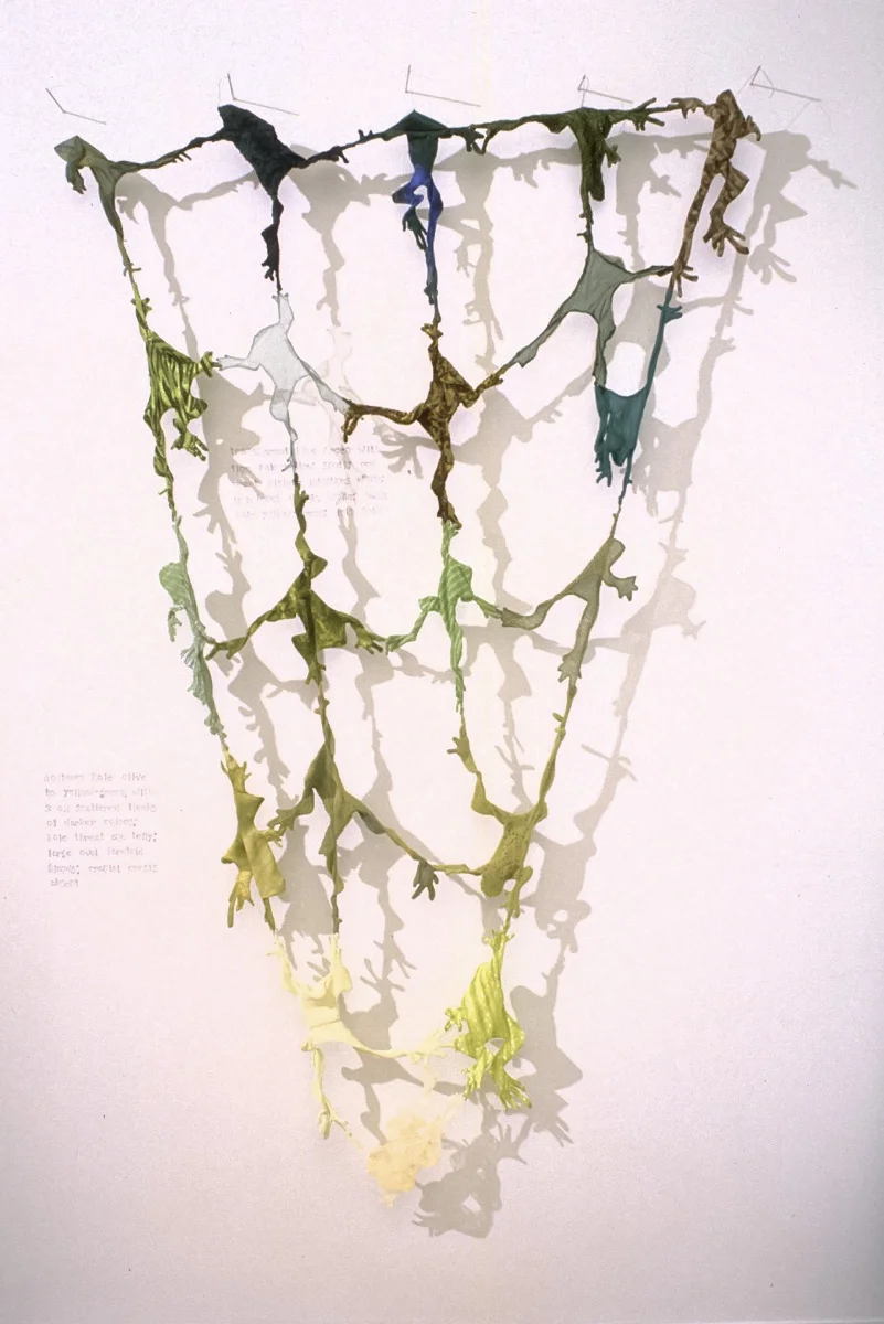 Frog Web #2 fabric, thread, graphite on wall