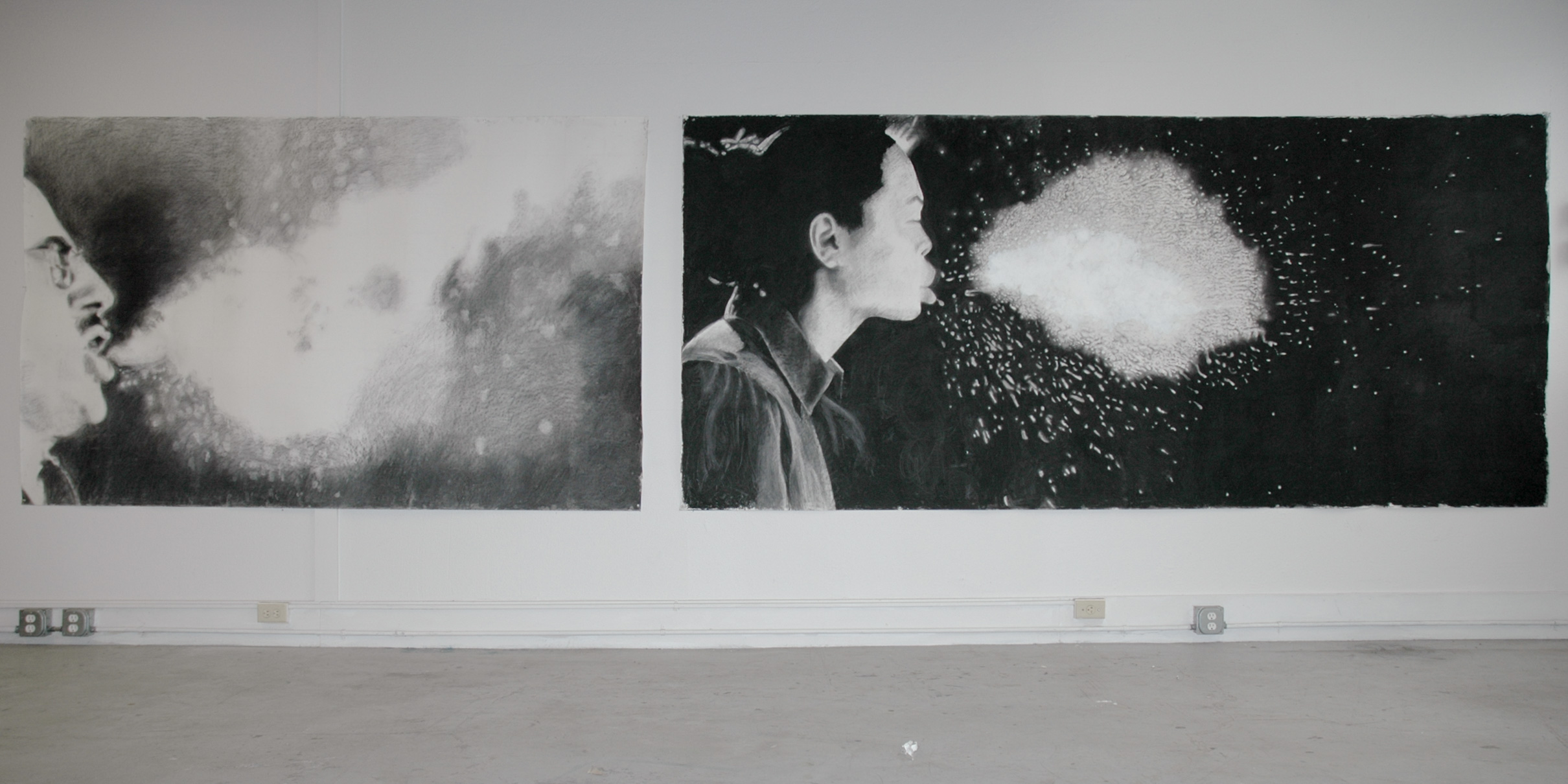 Enemies Too Small to See # 1 and #3, (partial installation view), charcoal on paper, 60” x 192”, 2013-2015, (From a larger project of monumental drawings addressing environmental issues and the body, by looking at both the chemical toxins in all of our bodies and the drug resistant new viruses that we are creating. A detail of these drawings reveals the hundreds of chemicals that live within us.)