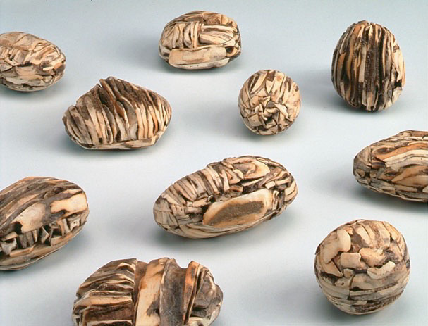 “Bones of Eire” potatoes