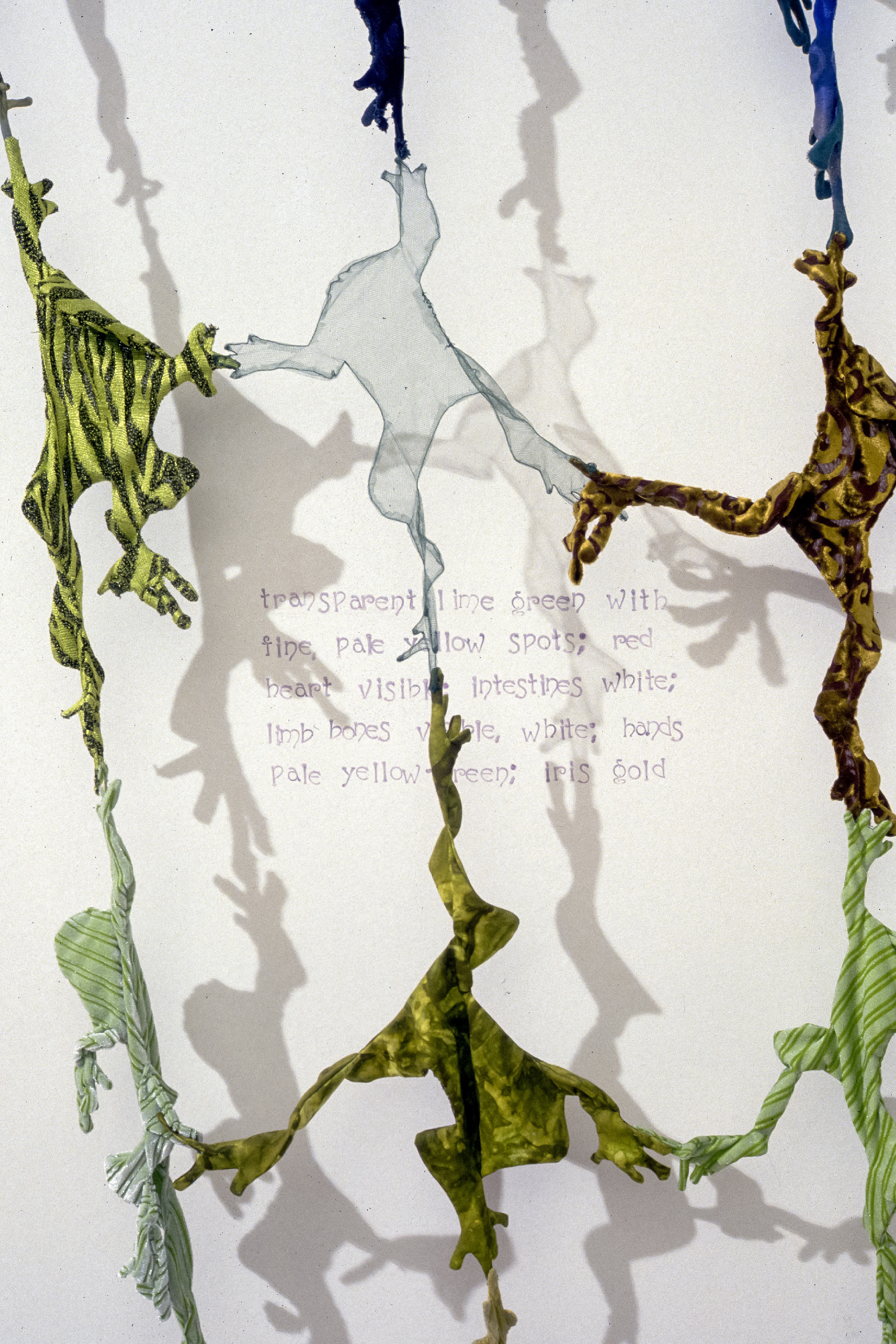 Frog Web #2 fabric, thread, graphite on wall