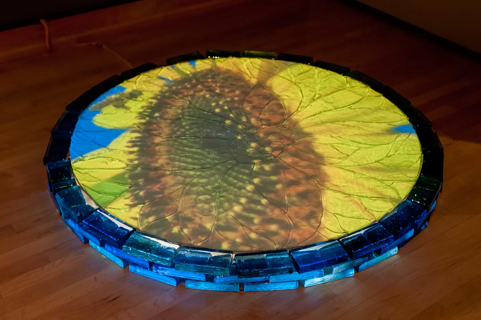 Precious Pollinators Installation at the Fredrick Meyer Garden in Grand Rapids, Michigan as part of a glass exhibition: “Shattered”. Images of bees pollinating projected onto glass flower Close up, Sacred Pollination , cast recycled blowing and window glass, projector and film, 4ft diameter, projection from ceiling, 2013 