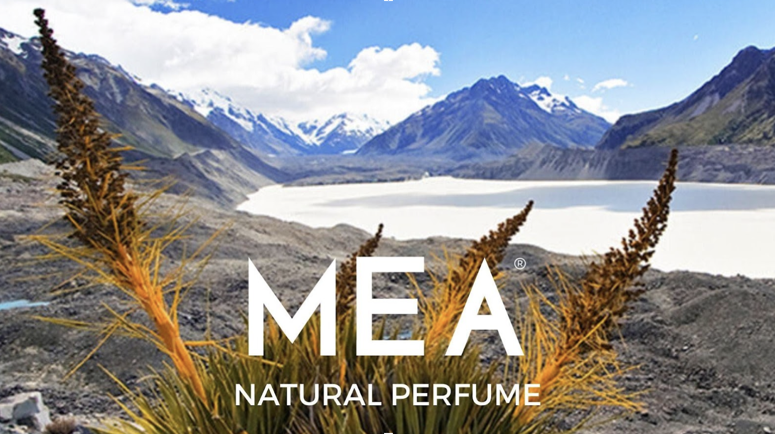 Introducing Pop Up Guest MEA