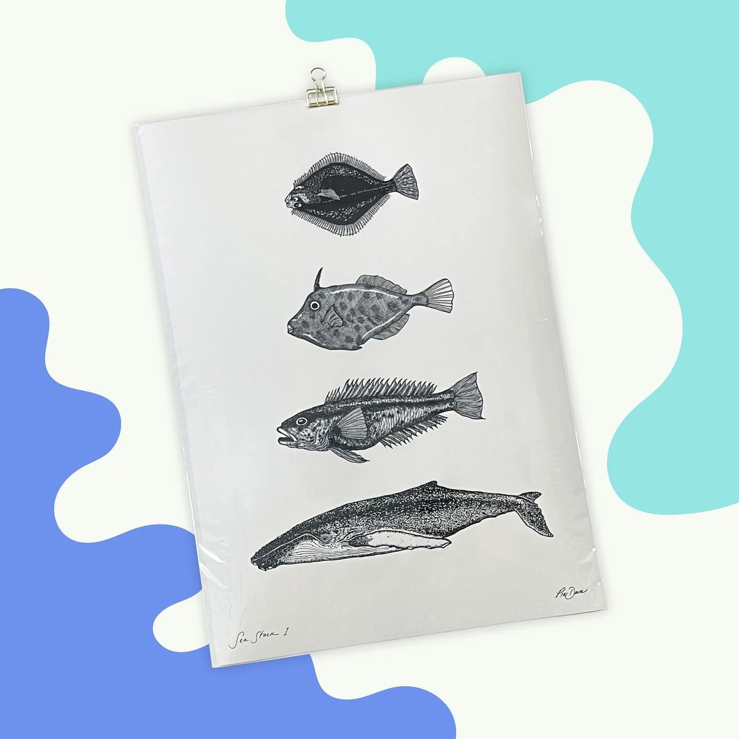 Prints of all sizes in store by @piadavieartist - like &lsquo;Sea Stack 1&rsquo; featuring the Pātiki (Sand Flounder), Kōkiri (Leather Jacket), Rāwaru (Blue Cod) and Paikea (Humpback Whale) plus greeting cards too!
. 
.
.
#art #print #design #artist 