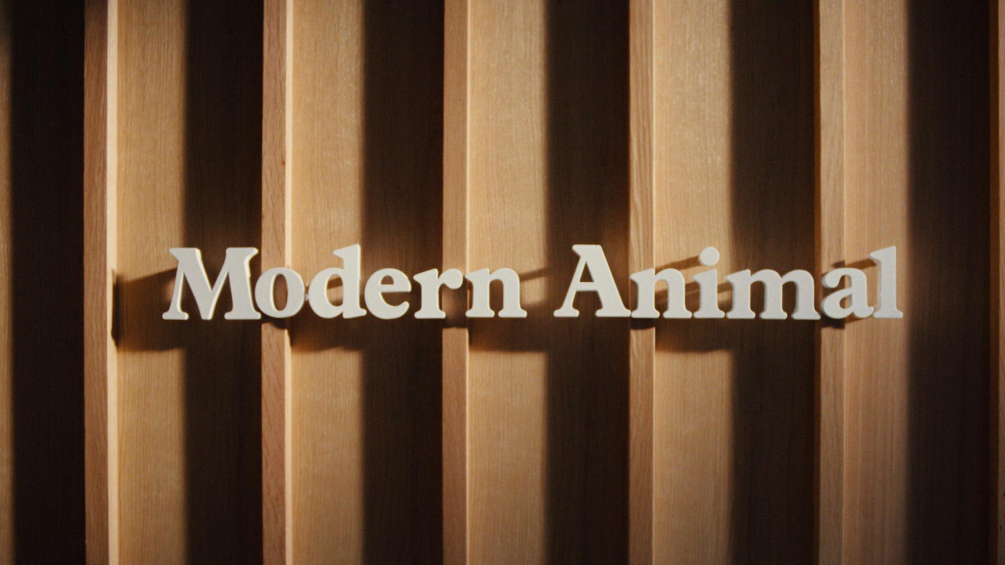 Modern Animal -3.jpg