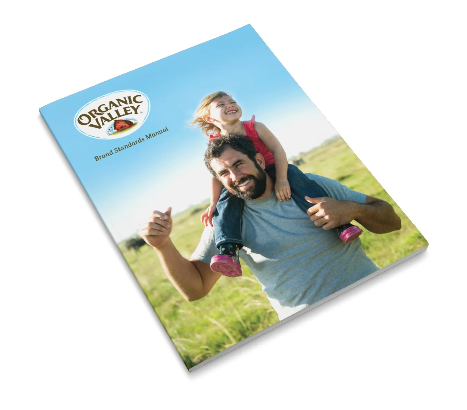 Magazine 0127 2017-06-03.jpeg