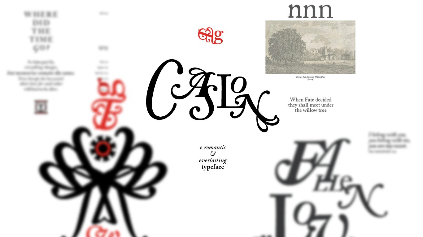 TYPE+FORM.jpg