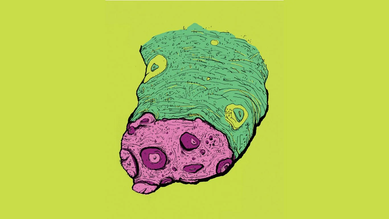 ILLUSTRATION PAGE.jpg