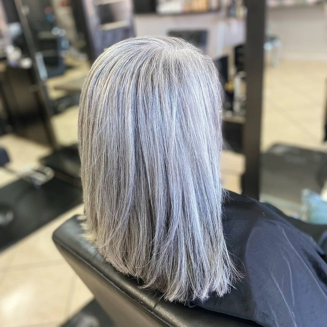 Silver Highlights Gray Blend