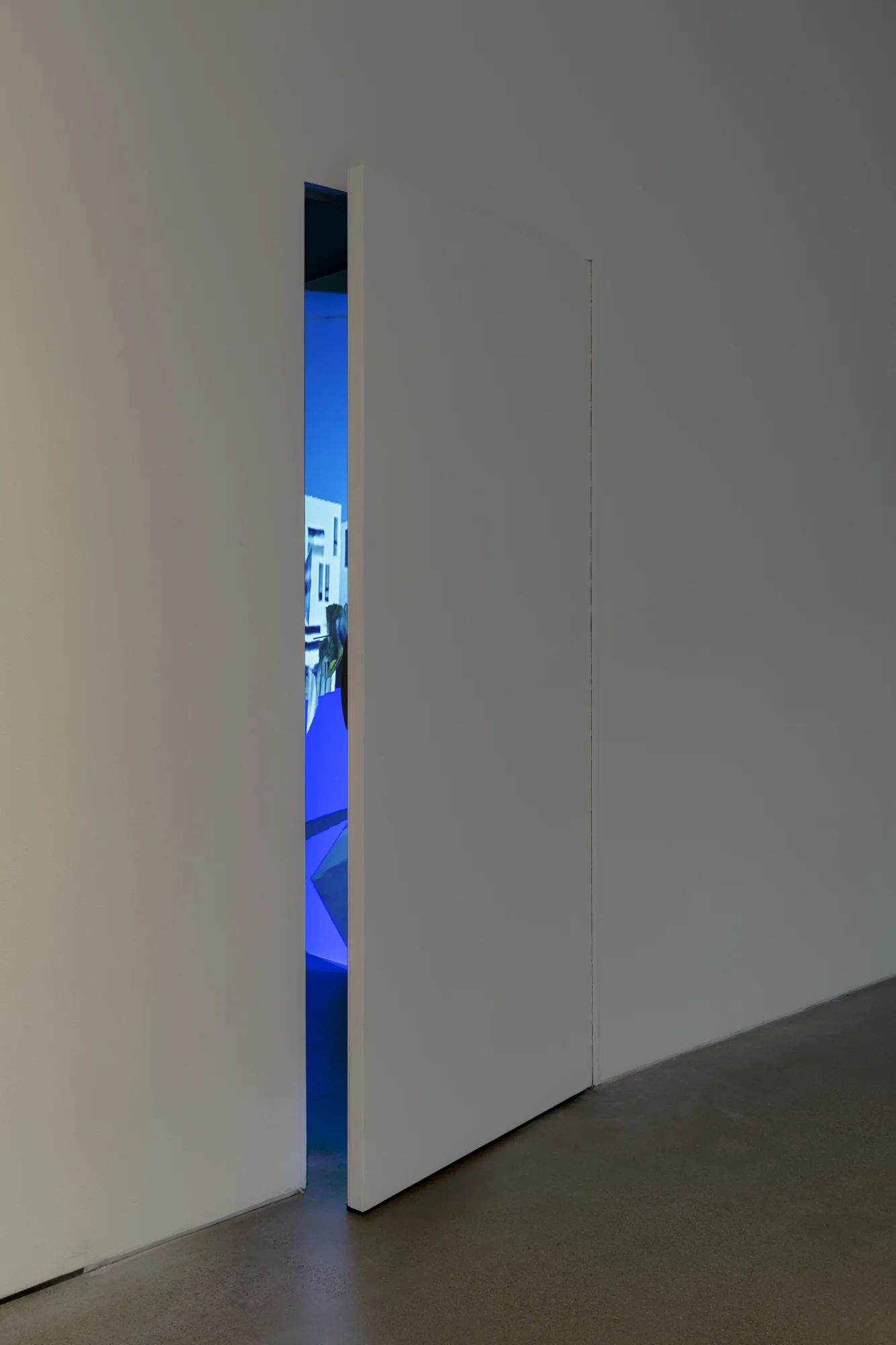 MOCA_05-13-2019_SondraPerry_32.jpg