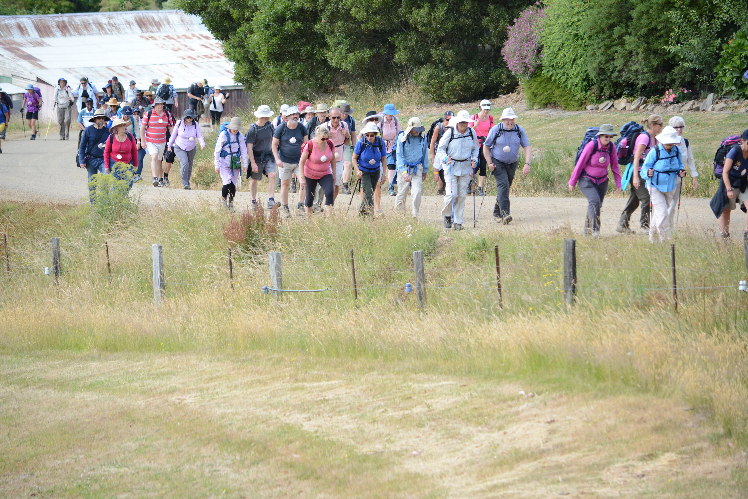 Way to St James_winding their way up the hill from the staging point.JPG