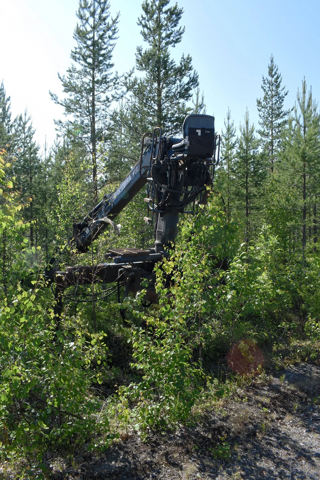 DSC_0197 working.jpg