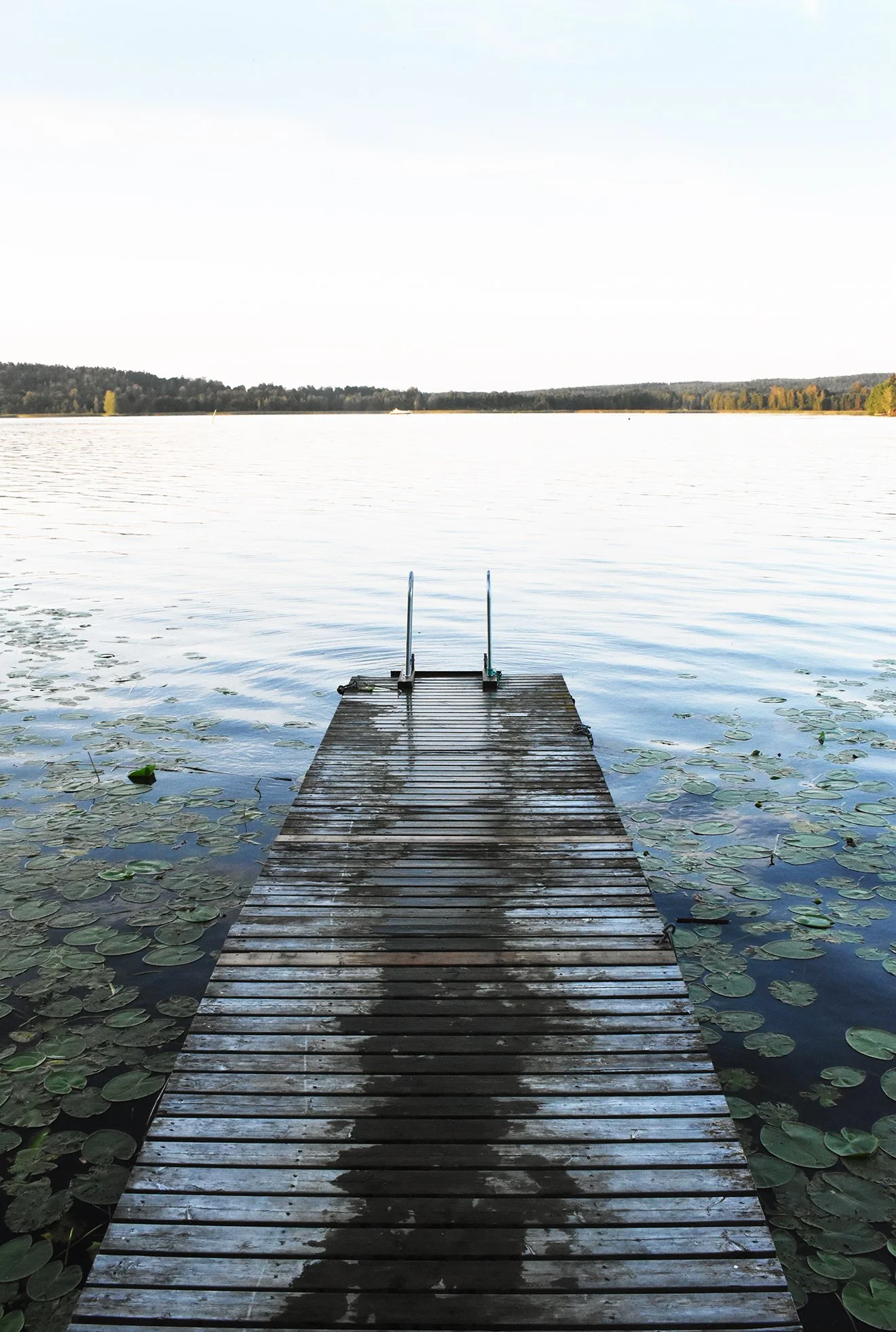 DSC_0348 working.jpg